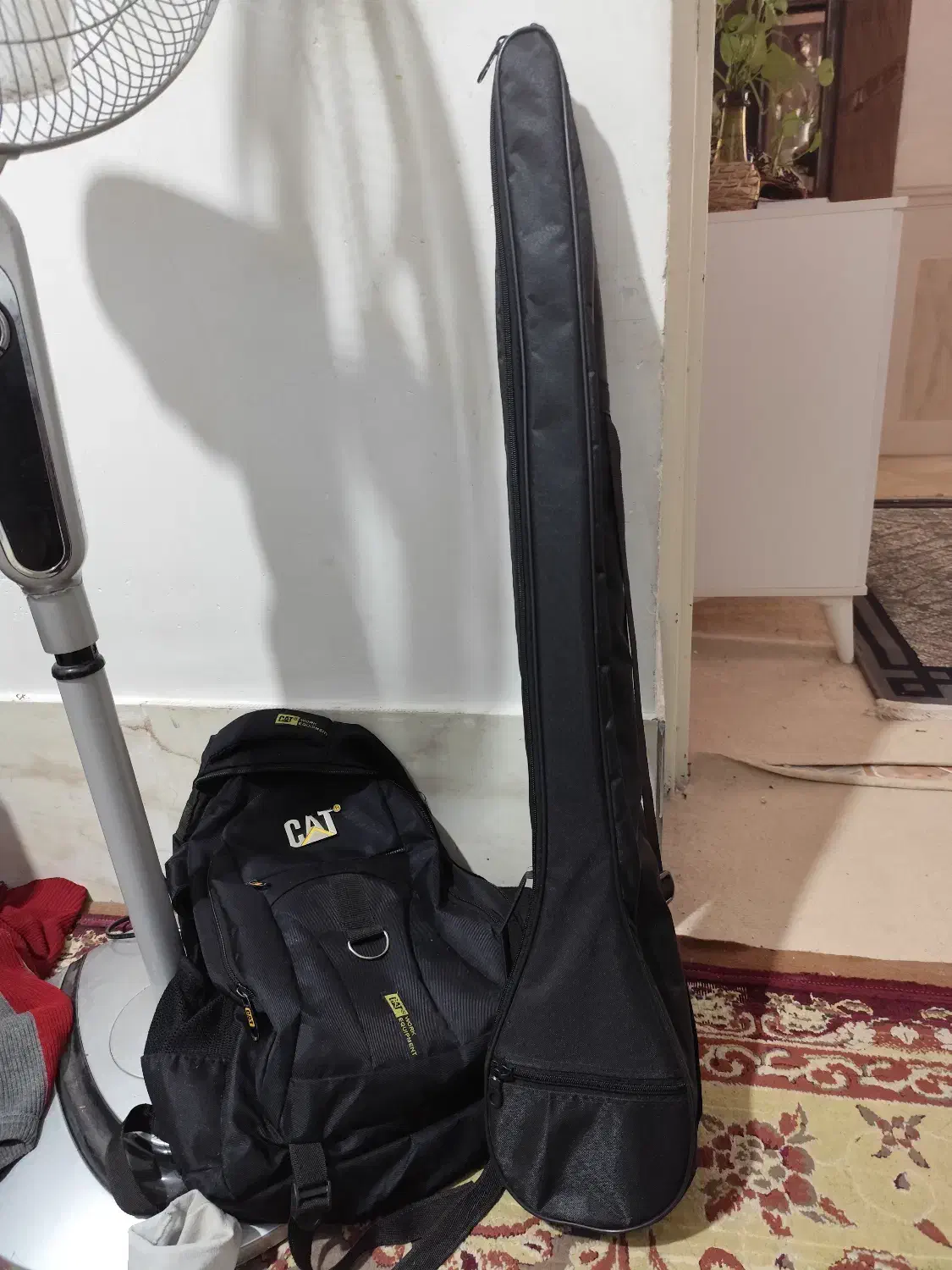 سه تار لاترم بختیاری باکیف|سازهای سنتی|فیروزآباد (فارس), |دیوار