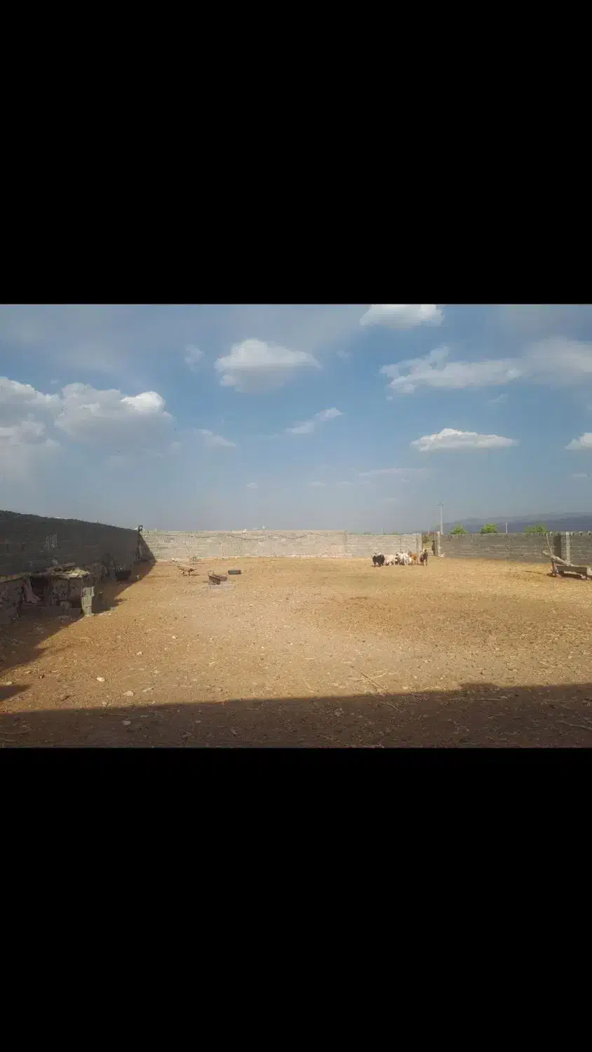 باغ ۲۳۰۰متر، دامداری پروانه‌دار، مناسب ویلا|فروش دفتر صنعتی، کشاورزی، تجاری|خوسف, |دیوار