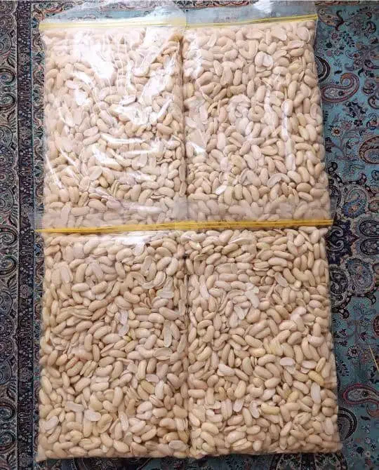 سبزیجات خام و سرخ شده محلی|خوردنی و آشامیدنی|تهران, شادمان|دیوار