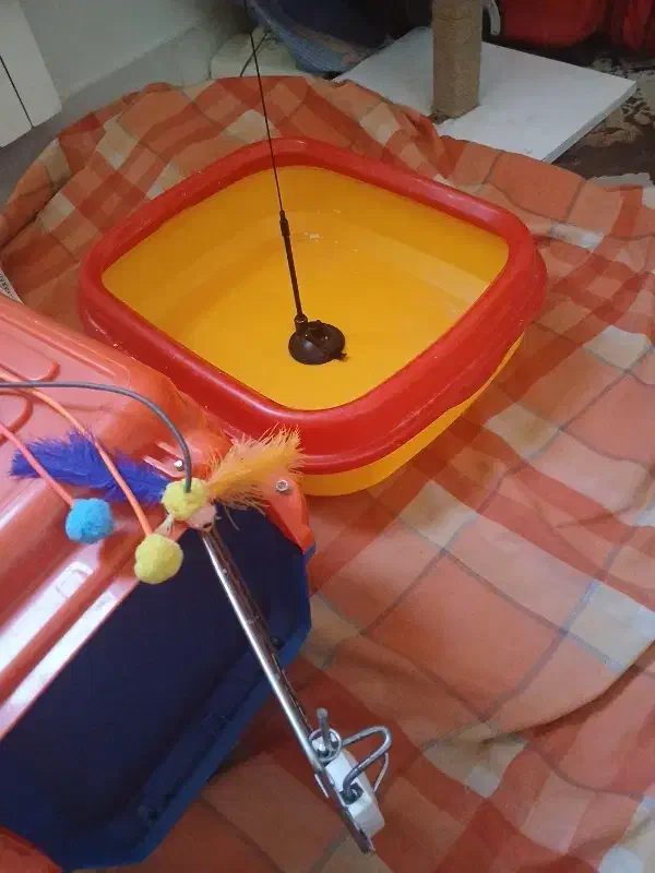 وسایل و اسباب بازی|لوازم جانبی حیوانات|تهران, زرکش|دیوار