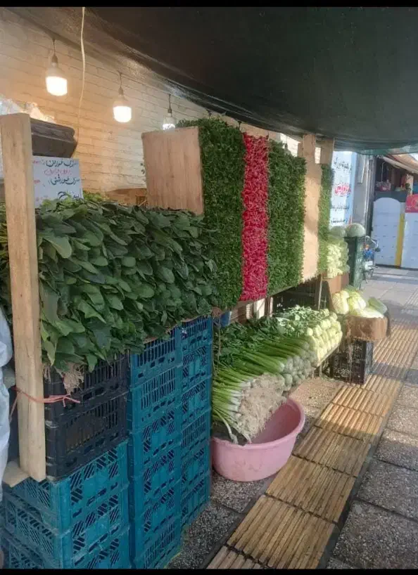 راهنمایی مغازه خوب برا میوه فروشی|فعالیت داوطلبانه تحقیقاتی|شیراز, فرهنگ شهر|دیوار