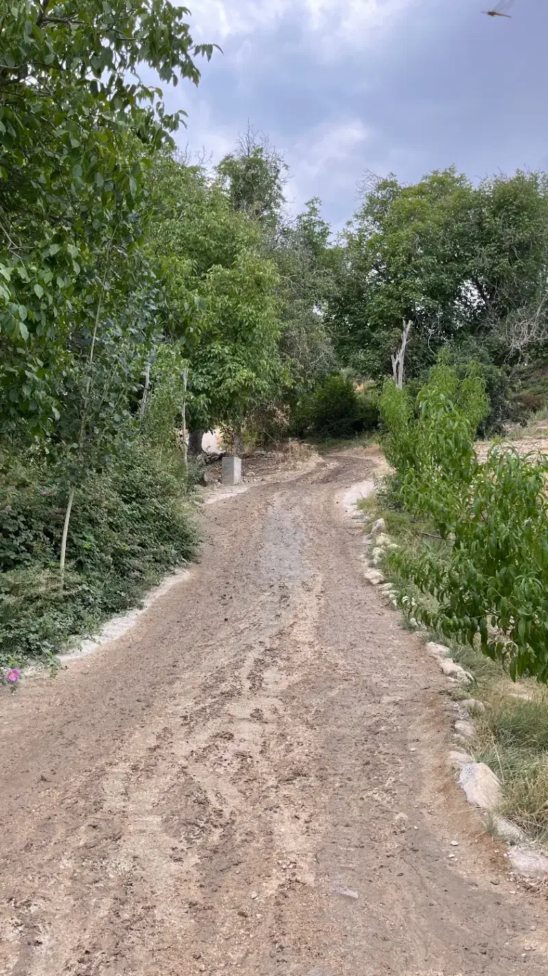 خدمات|استخدام سرایداری و نظافت|شیراز, چنچنه|دیوار