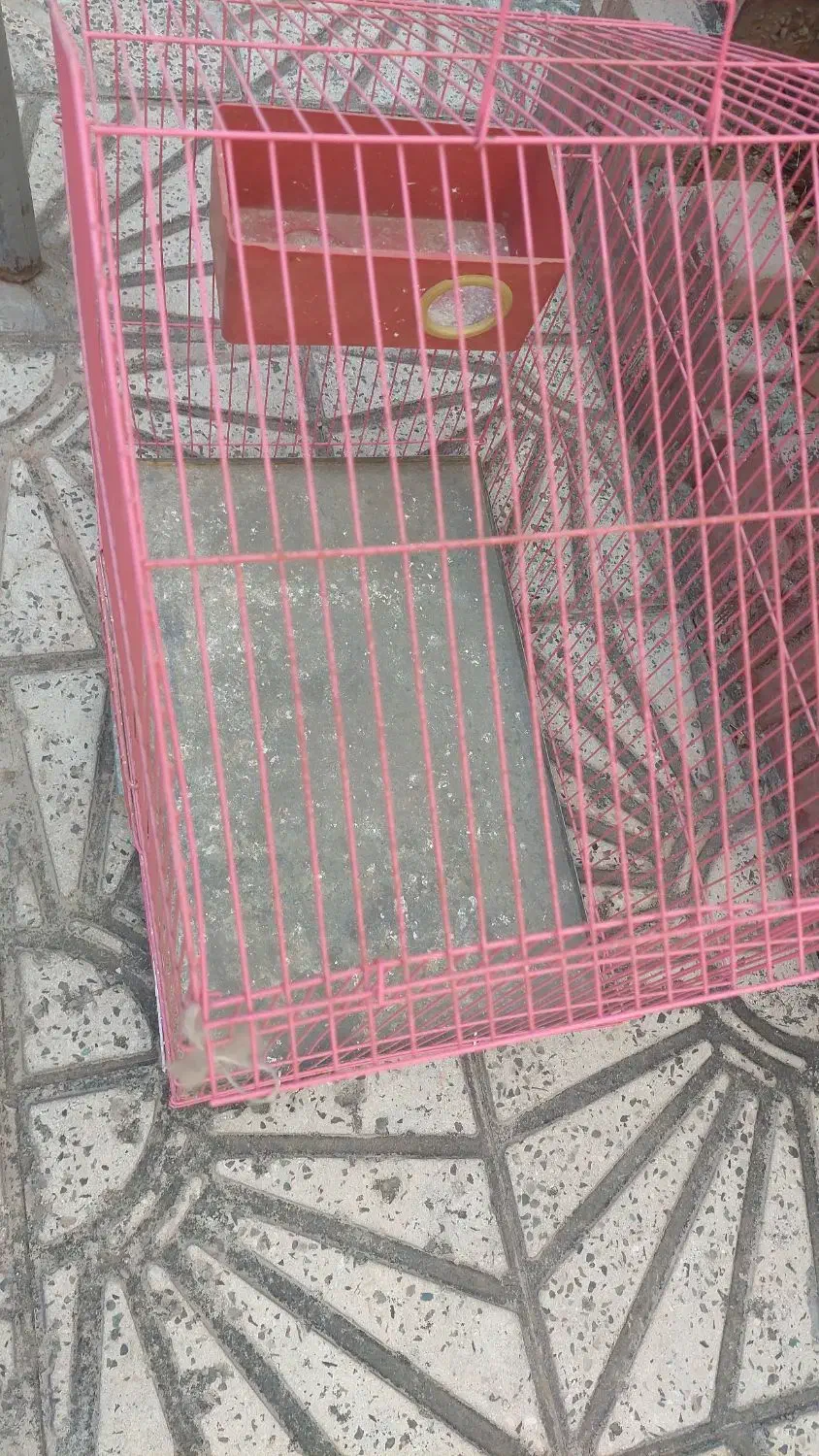 قفس پرنده|لوازم جانبی حیوانات|قدس, شهر‌قدس|دیوار