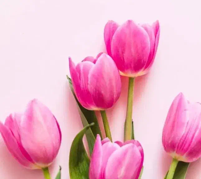 اف روی تمام خدمات|خدمات آرایشگری و زیبایی|مسجد سلیمان, |دیوار