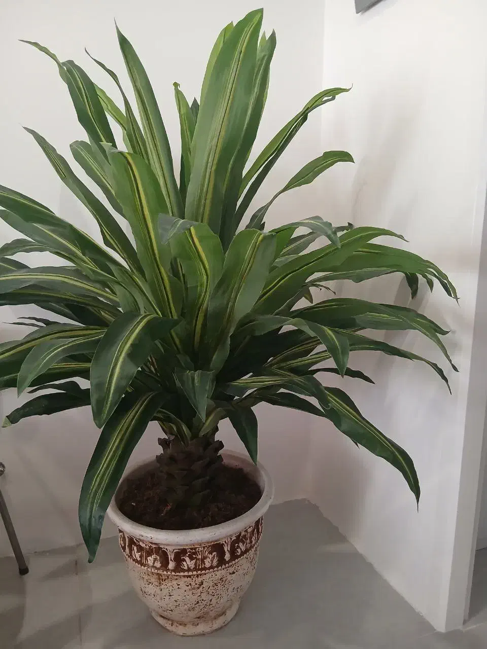 گل تزئینی|گل مصنوعی|مشهد, آزادشهر|دیوار