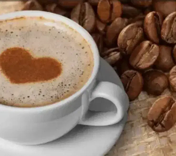 فال قهوه ملک|خدمات پذیرایی، مراسم|مشهد, کلاهدوز|دیوار