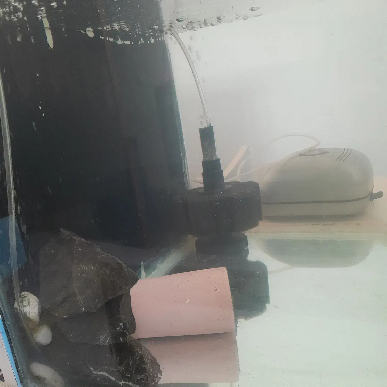 اکواریوم شیشه خم قیمت مناسب|ماهی|شیراز, تندگویان|دیوار