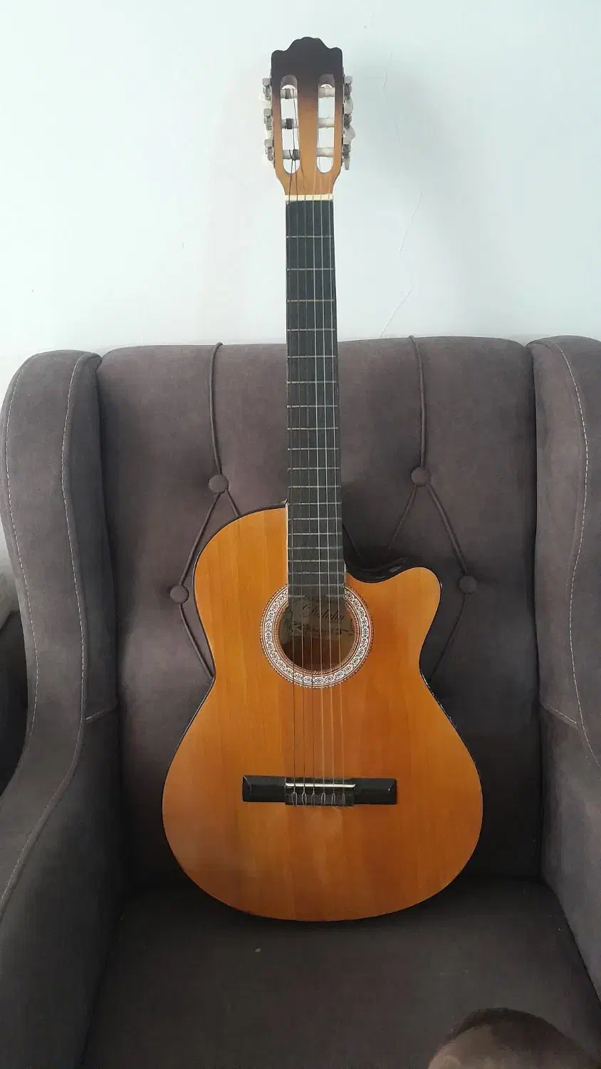 گیتار دالاهو|گیتار، بیس، امپلیفایر|قرچک, محمد آباد|دیوار