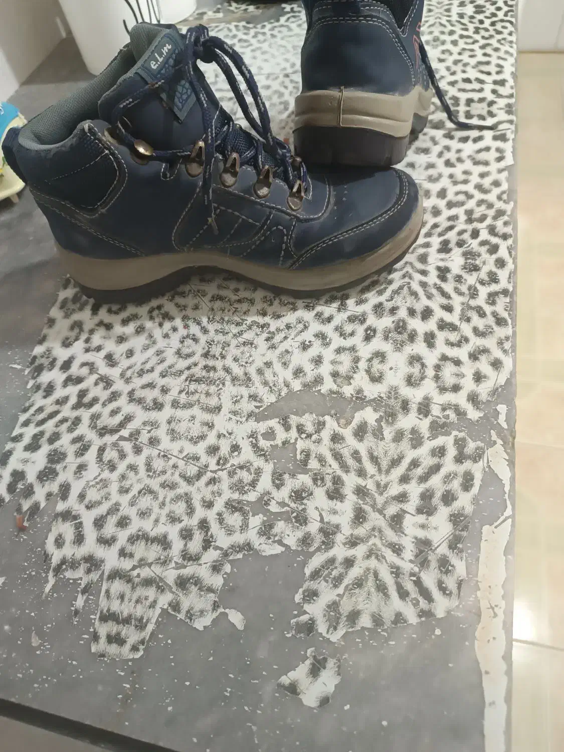 کفش پوتین و ورزشی سالن ی و چمنی درجه 1|کیف، کفش، کمربند|گنبد کاووس, |دیوار