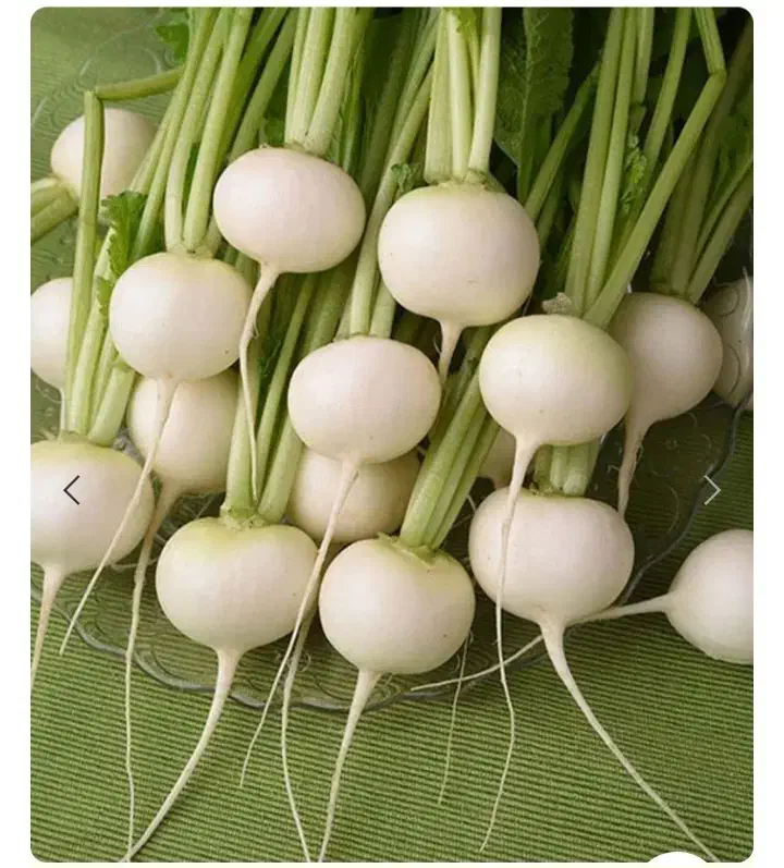 ترپ سفیدو سیاه و شلغم و اوشینی|خوردنی و آشامیدنی|شاهین دژ, |دیوار