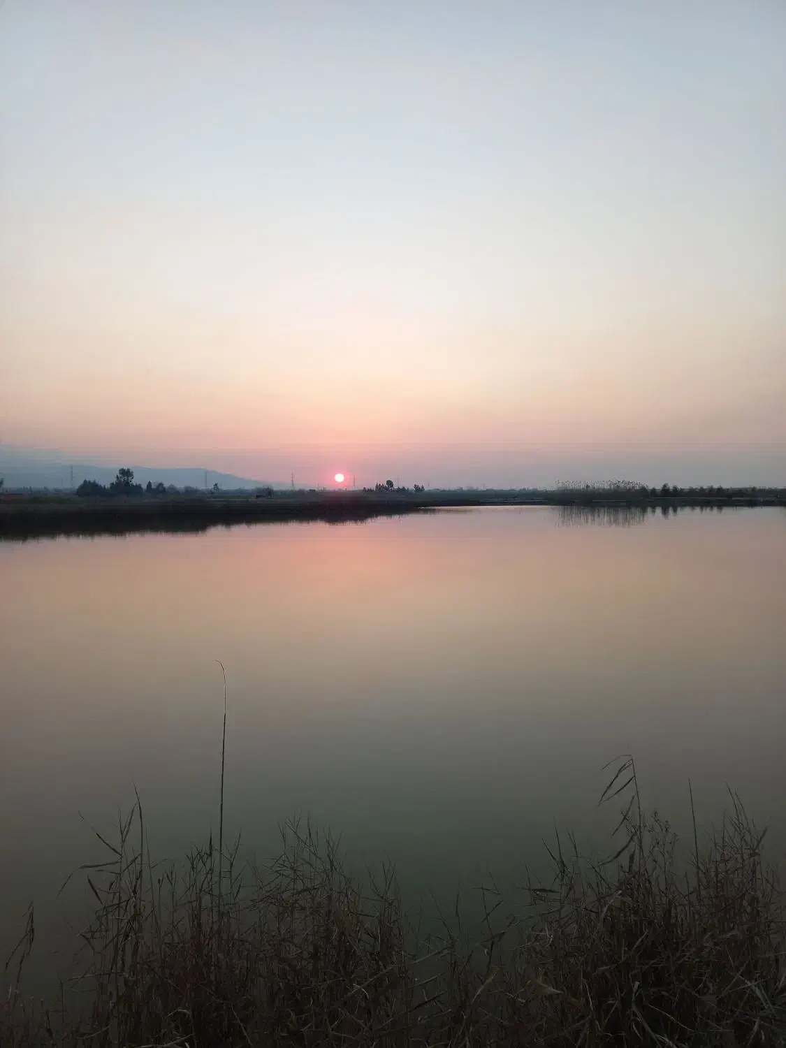 کارگر ساده برای پرورش ماهی|استخدام سرایداری و نظافت|گلوگاه, |دیوار