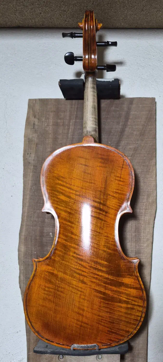 ویلن دست ساز|ویولن|شیراز, درکی|دیوار