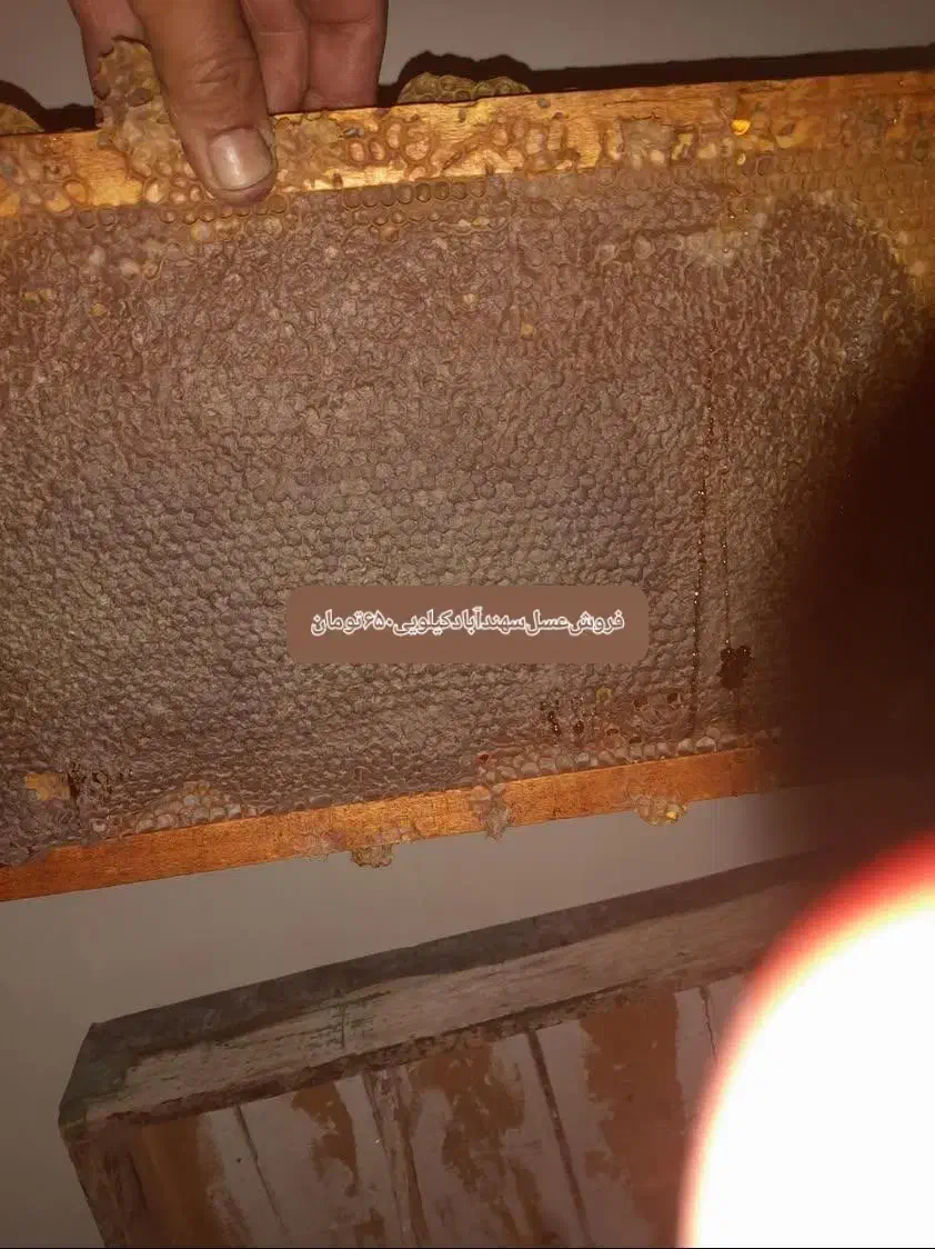 بالسهندآباد|خوردنی و آشامیدنی|مراغه, |دیوار