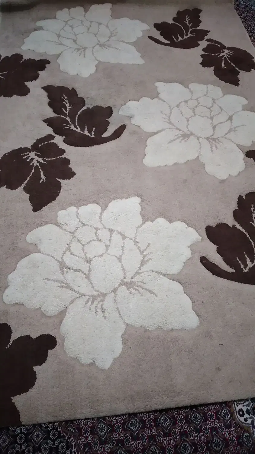 گلیم فرش در حدنو|گلیم، جاجیم، گبه|دورود, |دیوار