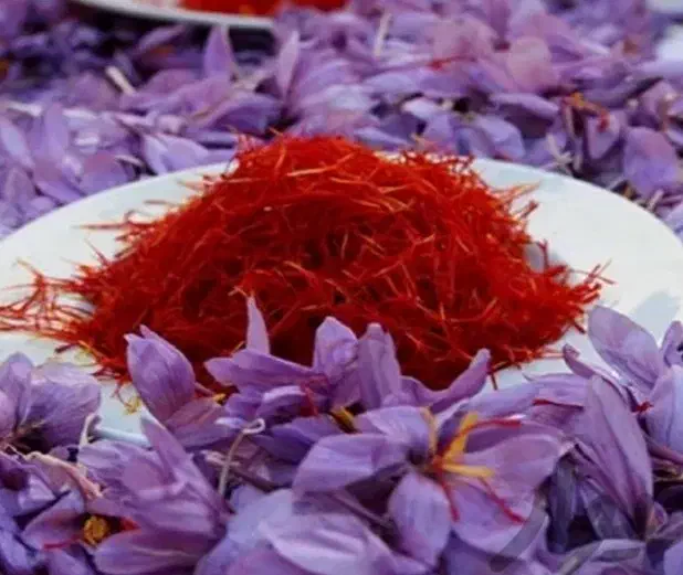 کرمانشاه ایران|بدلیجات|کرمانشاه, |دیوار