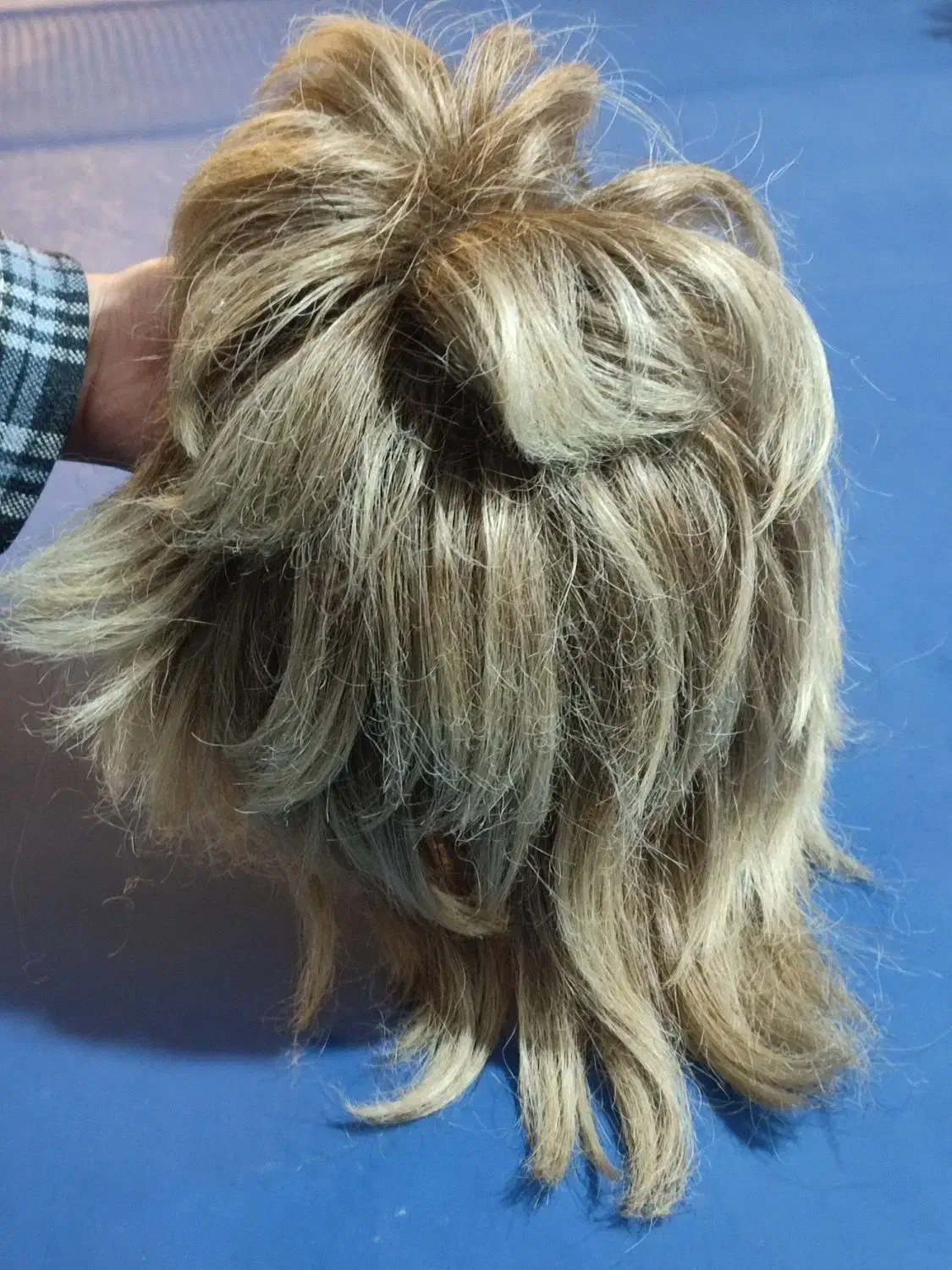 گلاه گیس|آرایشی، بهداشتی، درمانی|مشهد, فدک|دیوار