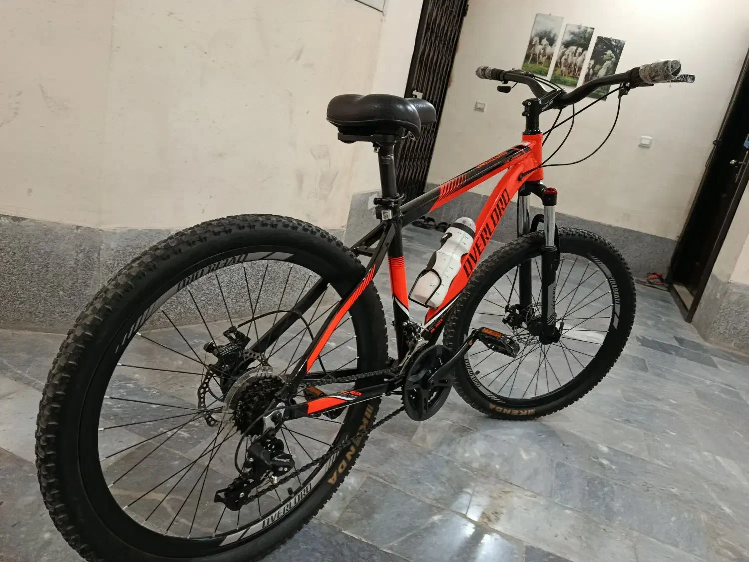 دوچرخه آورلورد اصل دیسکی و دوچرخه المپیا سری اول|دوچرخه، اسکیت، اسکوتر|فولادشهر, مسکن مهر فولادشهر|دیوار