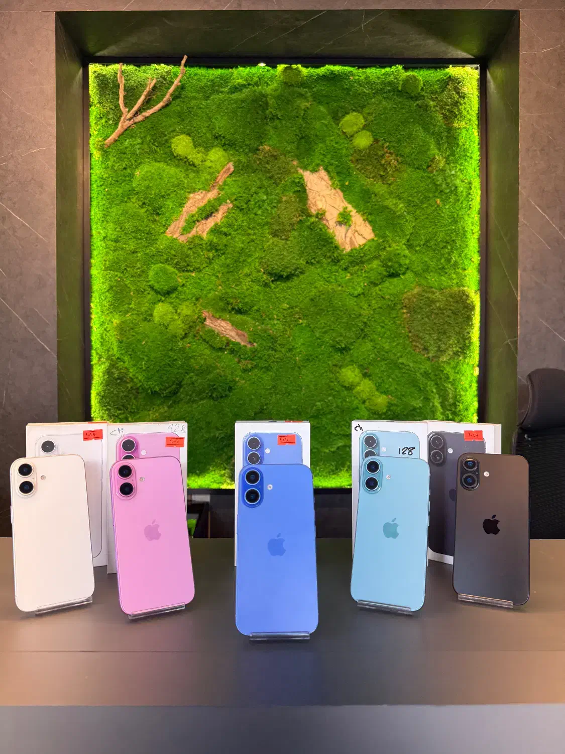 iphone 16 normal 128 قسطی|موبایل|تهران, جمهوری|دیوار