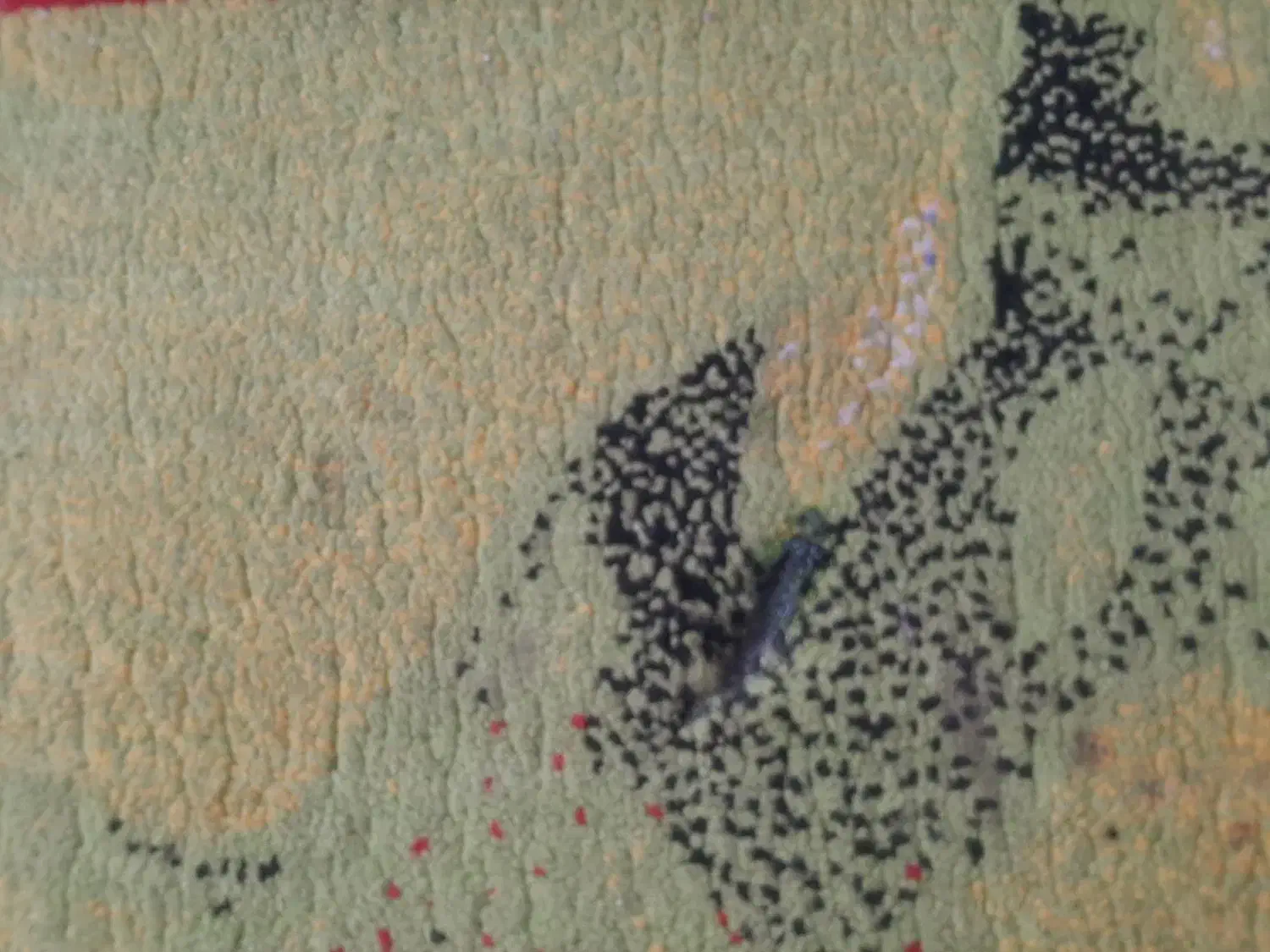 فرش اتاق بچه|فرش|پردیس, فاز ۲|دیوار