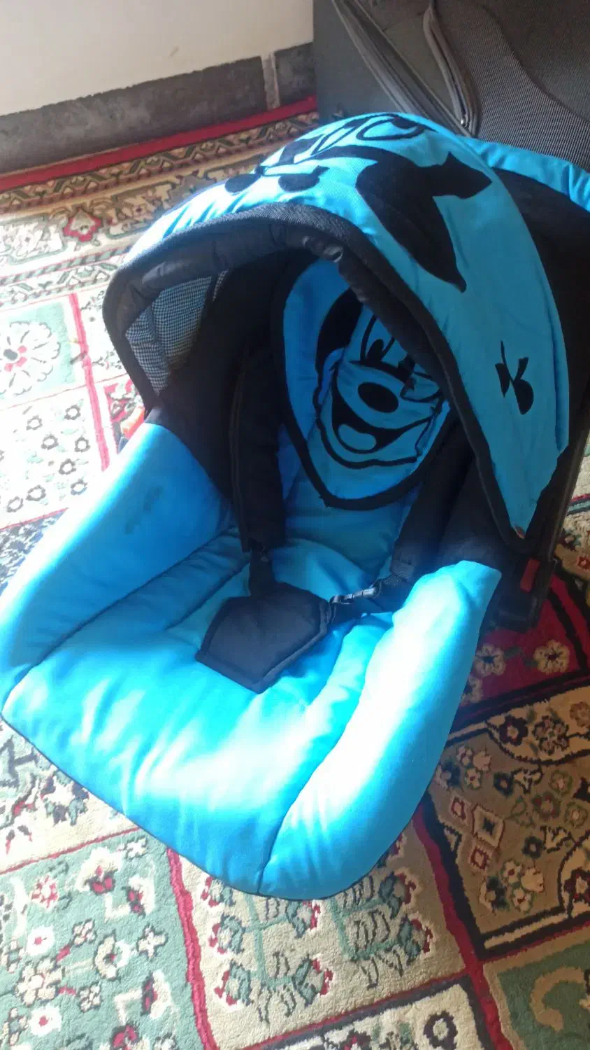 کالسکه و کریر|کالسکه و لوازم جانبی|لردگان, |دیوار