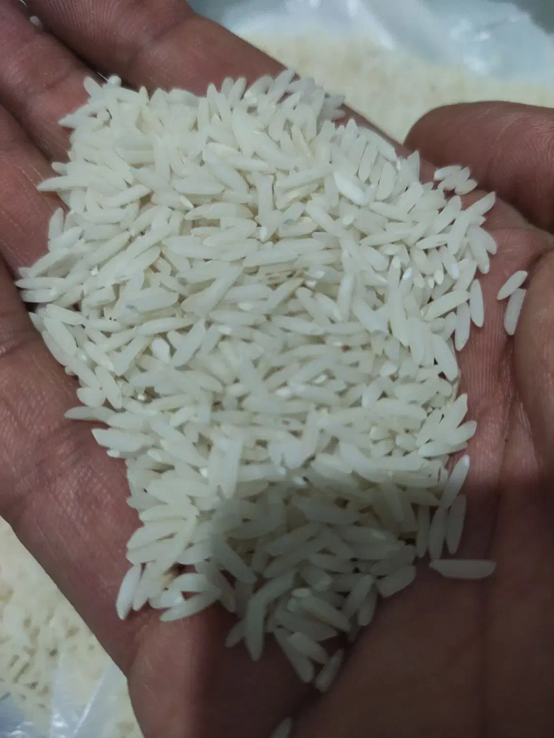 برنج هاشمی سورتینگ زده|خوردنی و آشامیدنی|رشت, آب آسیاب|دیوار