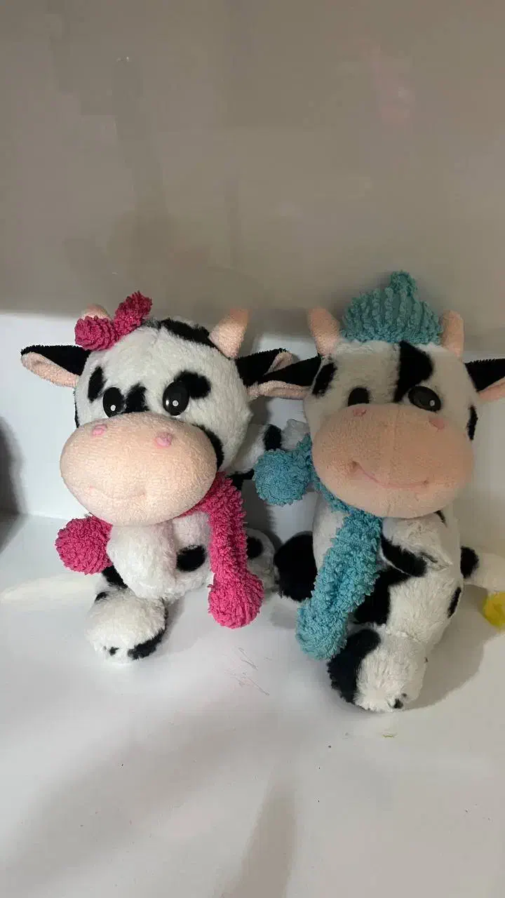 عروسک|اسباب‌‌بازی|قم, پردیسان|دیوار