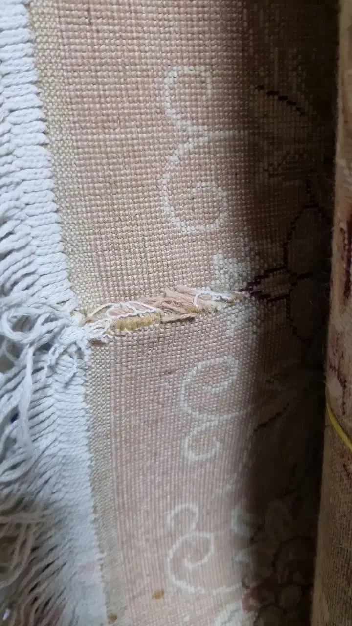 فرش ۱۲و ۶|فرش|بیرجند, |دیوار