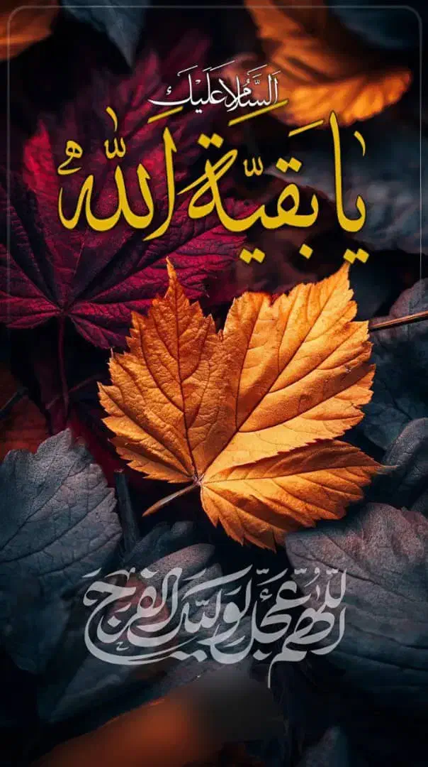 مدارک گم شده بنام سید جلال زاده|اشیا|قم, امامزاده ابراهیم|دیوار