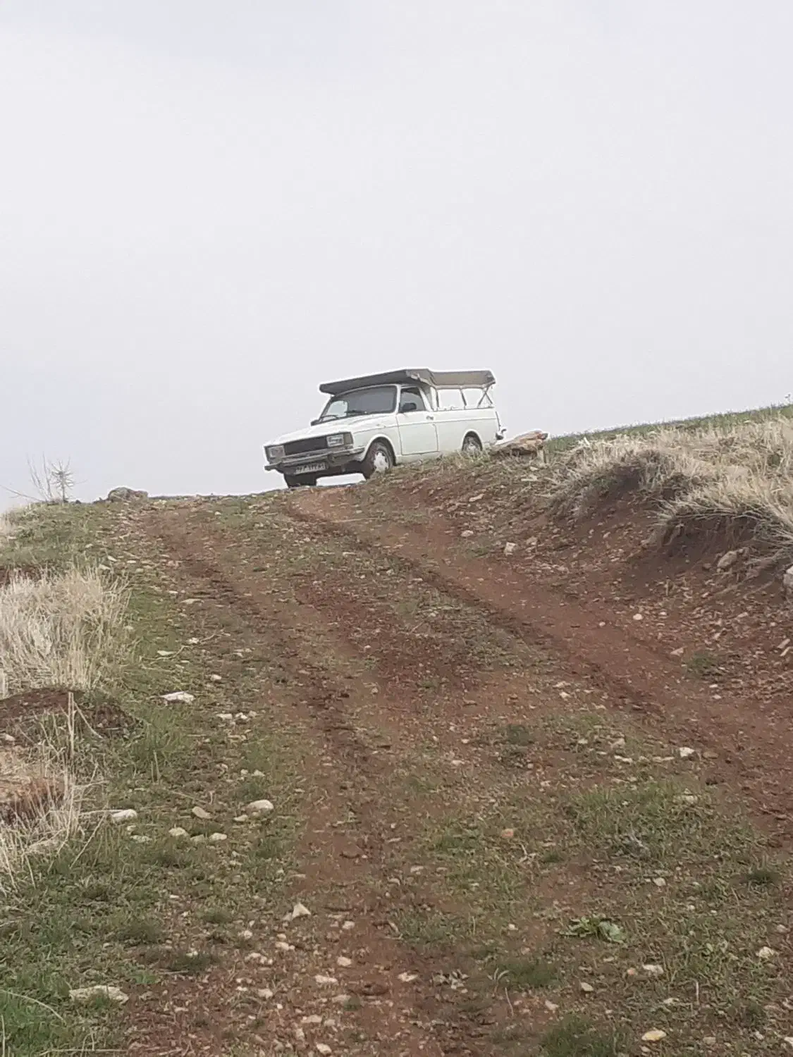 پیکان وانت|خودرو سواری و وانت|سقز, |دیوار