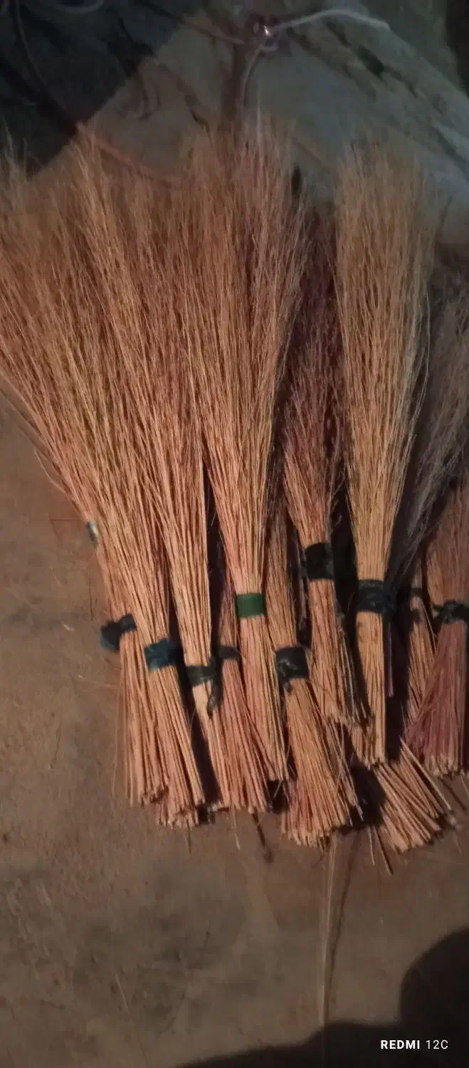 جارو خانگی|جاروبرقی، جارو شارژی، بخارشو|لردگان, |دیوار