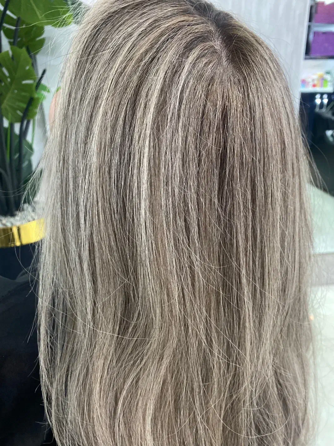 رنگ ولایت اقتصادی حرفه ای مو|آرایشی، بهداشتی، درمانی|بندرعباس, |دیوار