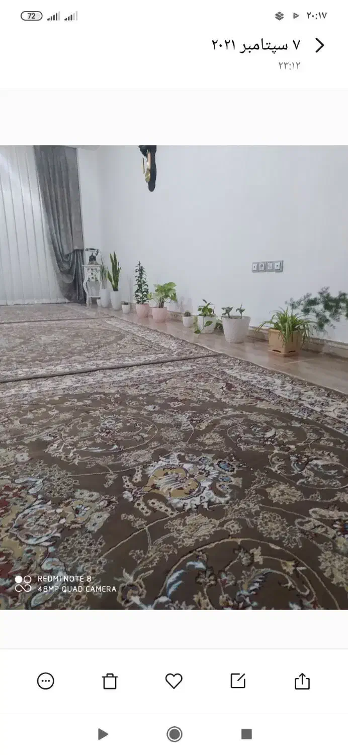 به علت جابه جایی|فرش|رزن, |دیوار