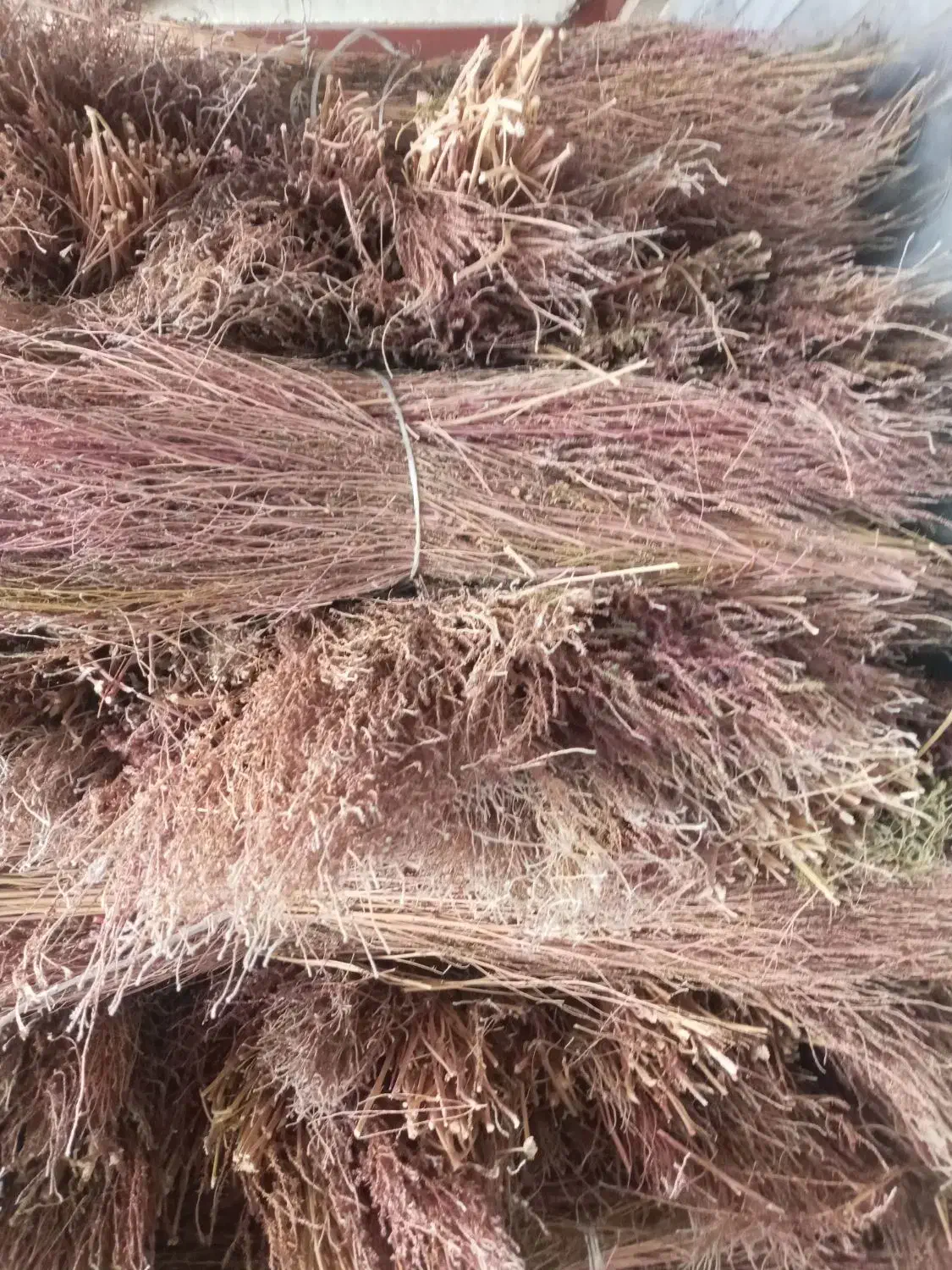 جارومحلی|لوازم نظافت|اراک, |دیوار