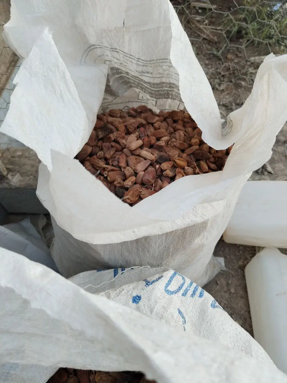 کنگه خشک زیر قیمت|لوازم جانبی حیوانات|برازجان, |دیوار