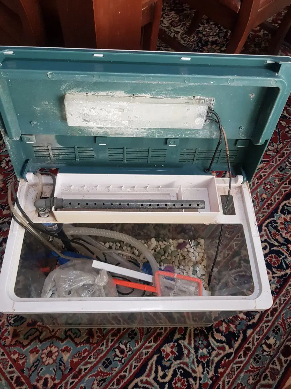 آکواریوم|ماهی|تهران, صادقیه|دیوار