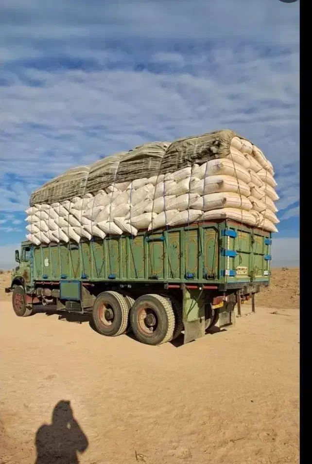 کاه گندم گاوی درشت و گوسفندی نرم موجوده|حیوانات مزرعه|مبارکه, |دیوار