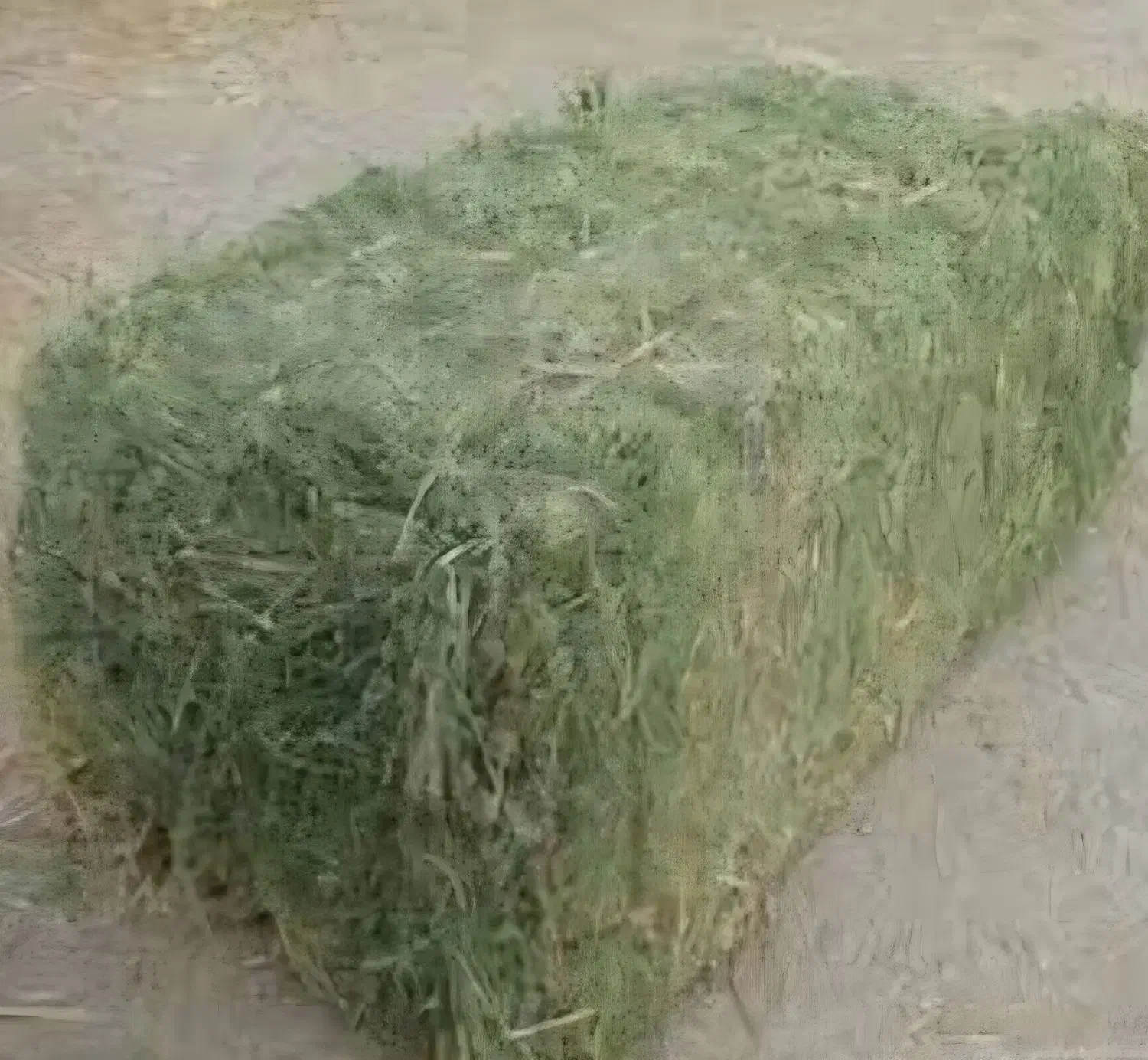 علوفه یونجه|عمدهفروشی|سراب, |دیوار