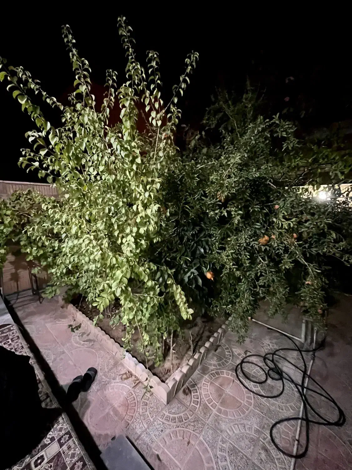 ویلایی 200 متر جنوبی معاد|فروش خانه و ویلا|شاهینشهر, شهرک ردانی پور|دیوار