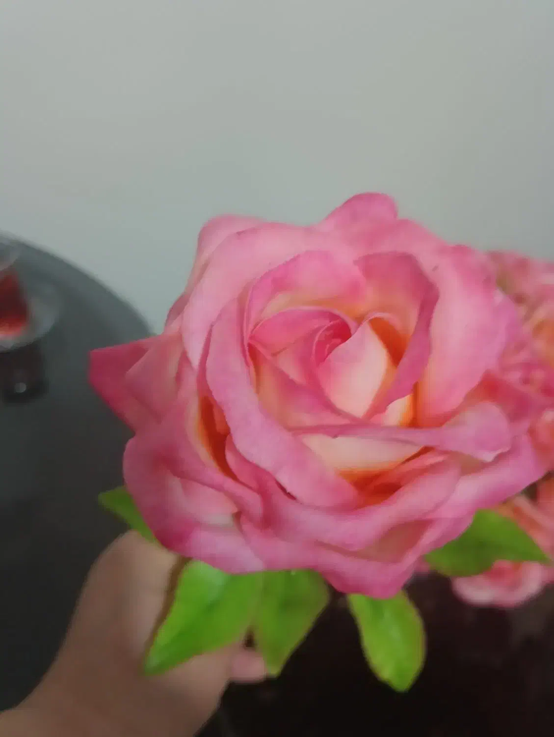 شاخه گل رز خمیری|گل مصنوعی|شیراز, شهرک گلستان|دیوار