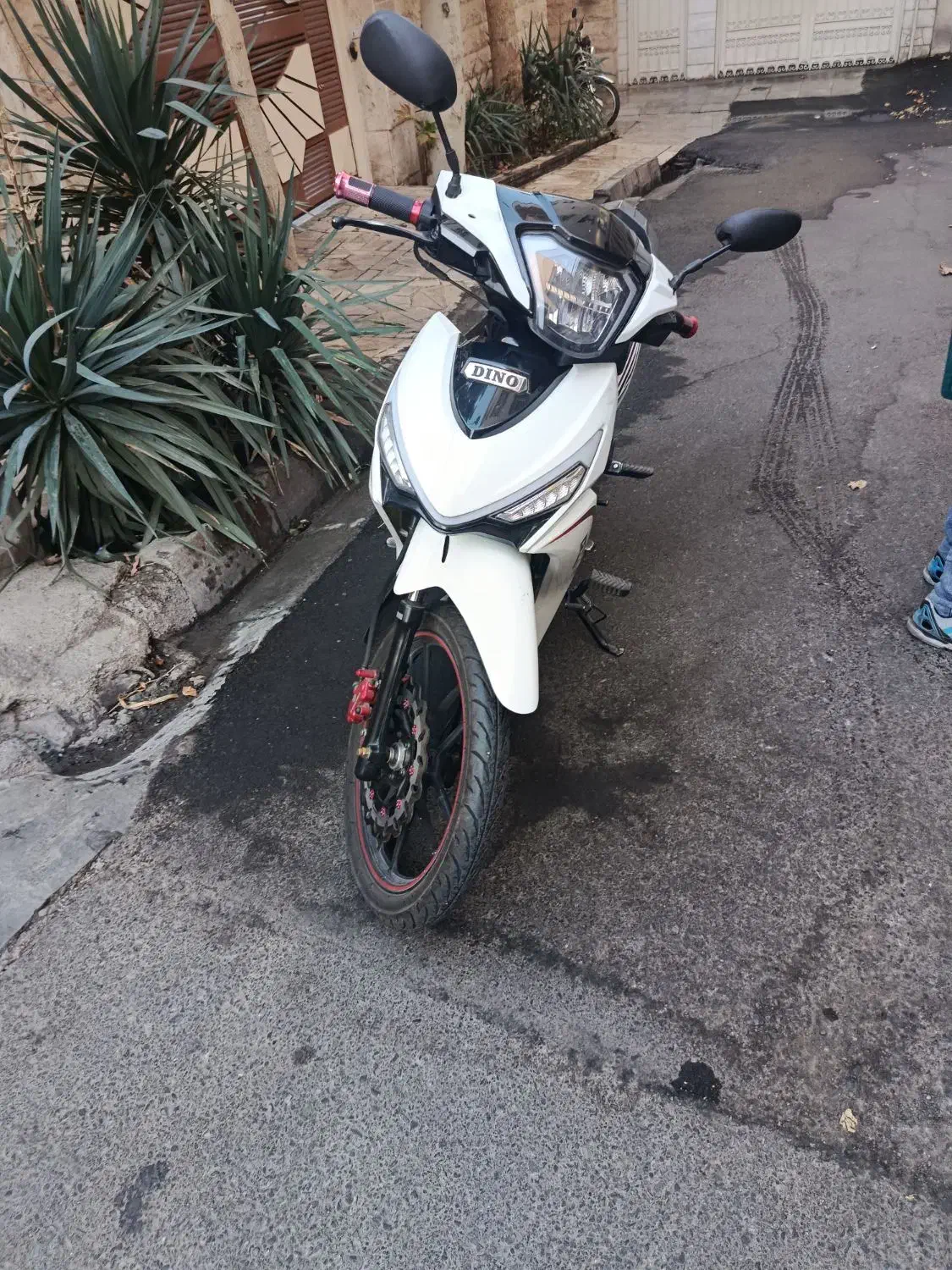 موتور سیکلت طرح ویو دینو|موتورسیکلت|تهران, زرگنده|دیوار