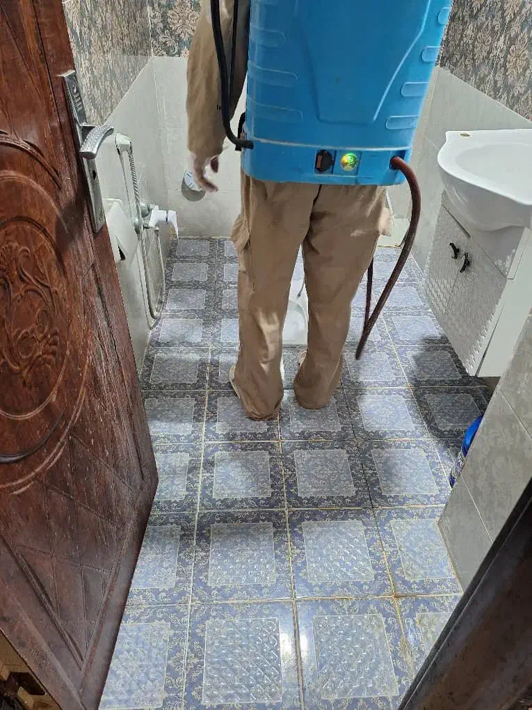 سم پاشی تخصصی انواع حشرات موذی و زنده گیری حیوانات|خدمات نظافت|بندر کنگان, |دیوار