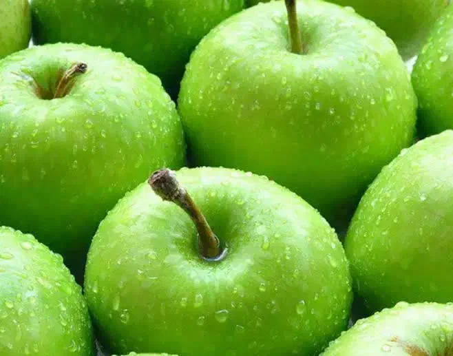 توزیع و ارائه نهال سیب سبز|خدمات باغبانی و درختکاری|میانه, |دیوار