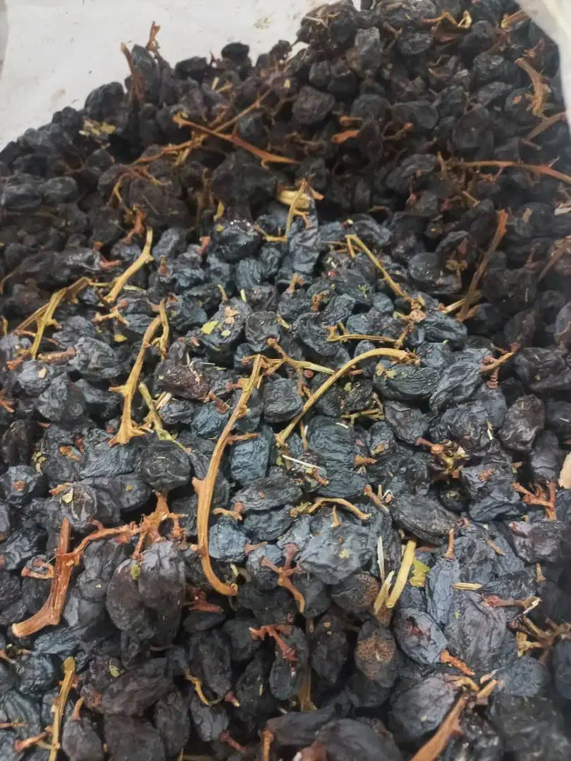 مویز درجه ۱|عمدهفروشی|شیراز, گلستان|دیوار