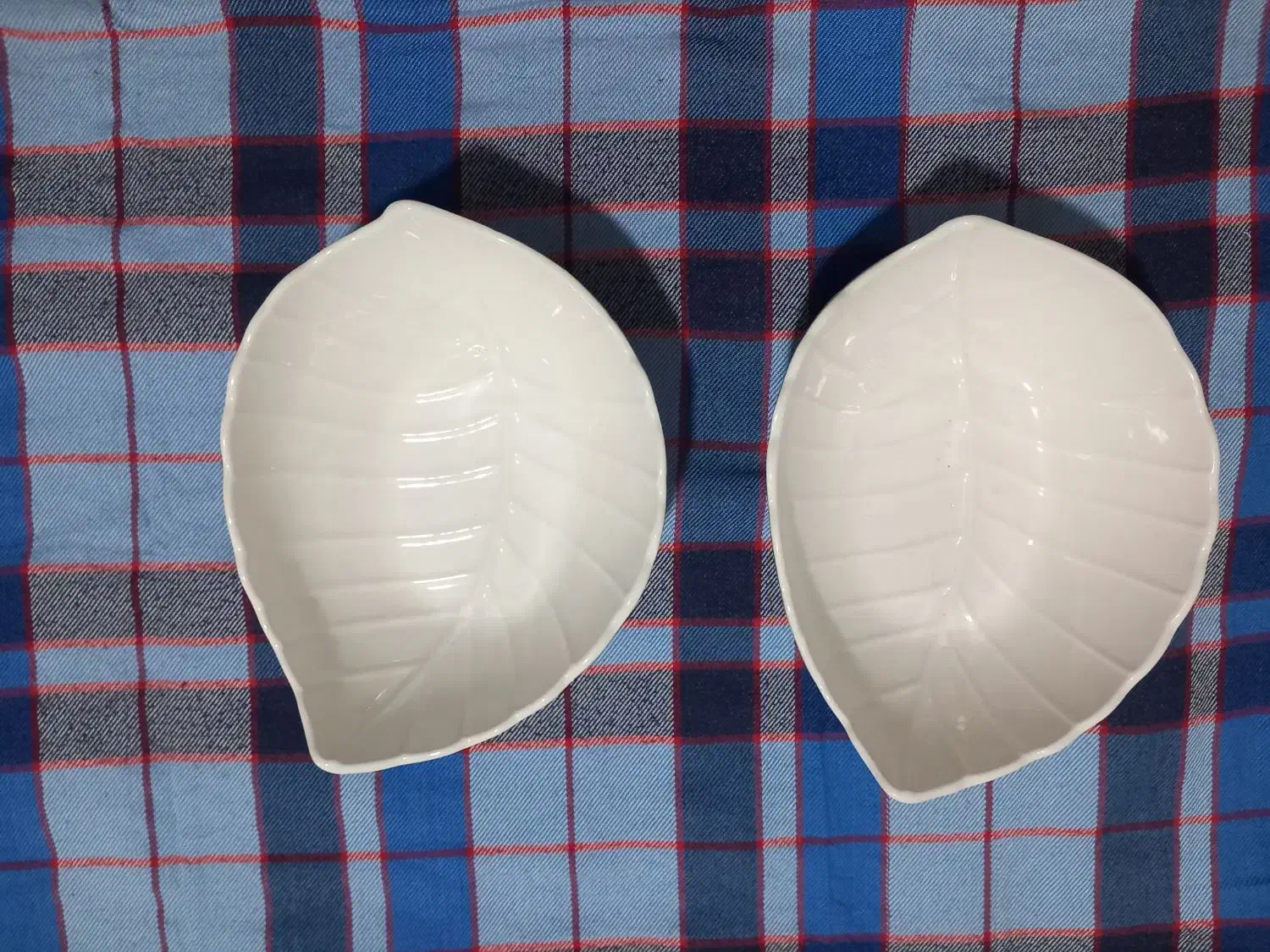 ظرف سرامیکی نو|ظروف سرو و پذیرایی|سمنان, |دیوار