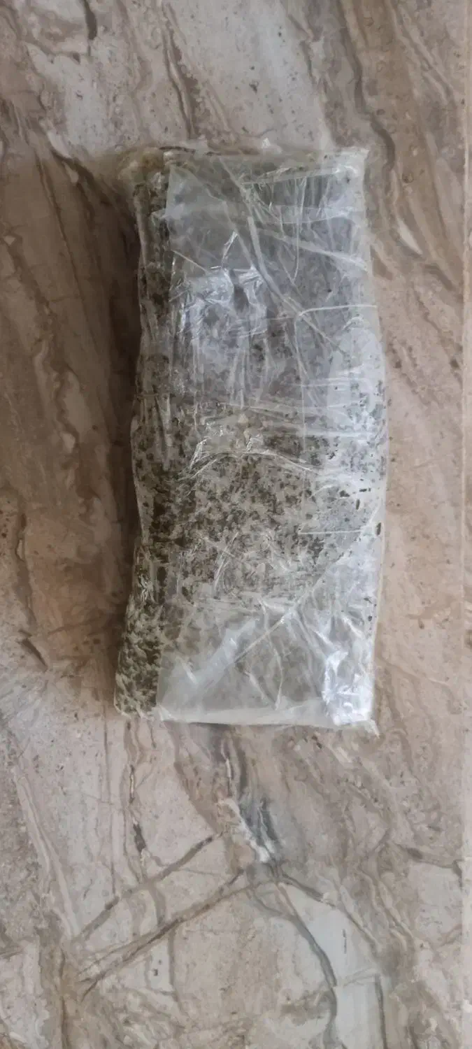 سبزی خورشتی آب پز شده|خوردنی و آشامیدنی|هلیلان, |دیوار