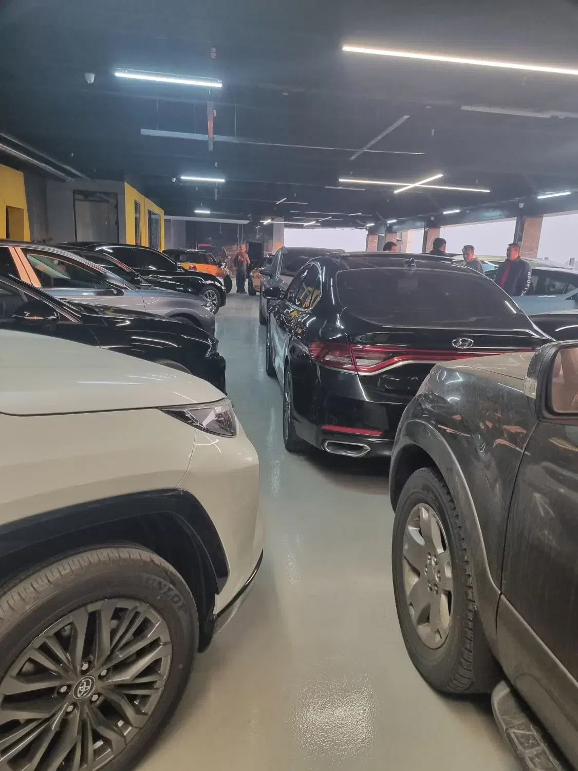 نیسان ترا مدل ۱۴۰۳|خودرو سواری و وانت|تهران, حکمت|دیوار