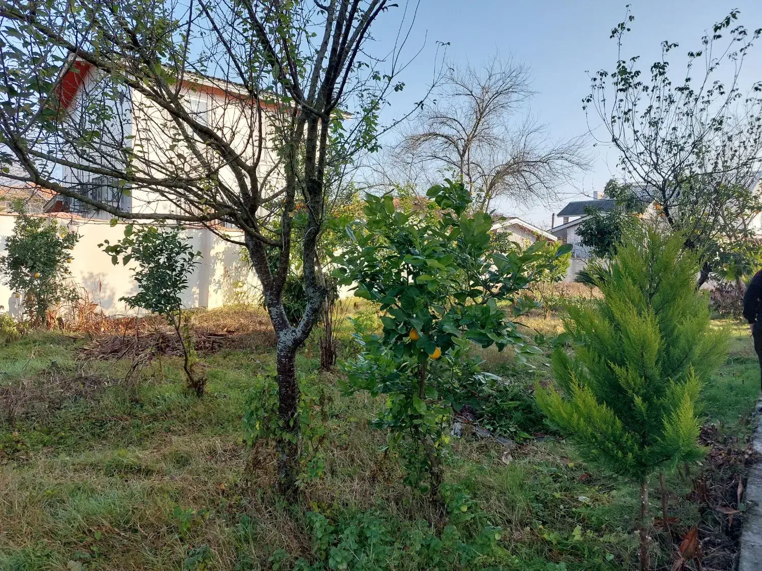 ویلا باغ۱۰۰۰متر۲خواب دوبلکس فول فرنیش ۵دقیقه نور|اجارهٔ خانه و ویلا|نور, |دیوار