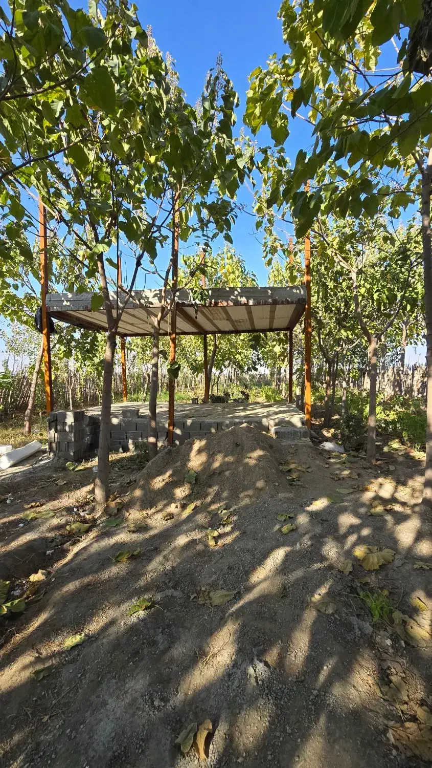 برجاده گنبد مینودشت زمین باغ|فروش زمین و ملک کلنگی|مینودشت, |دیوار