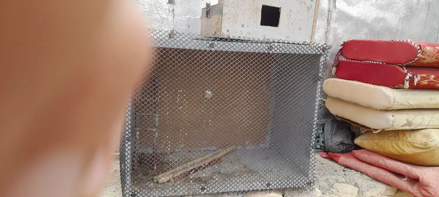 قفس پرنده|لوازم جانبی حیوانات|لردگان, |دیوار