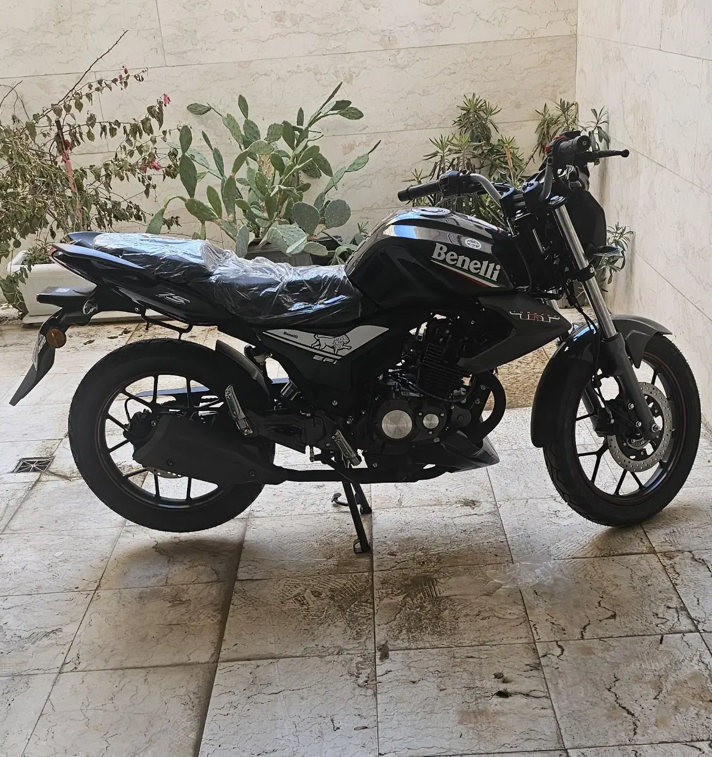 موتور بنلی tnt15|موتورسیکلت|قم, سعادتی|دیوار